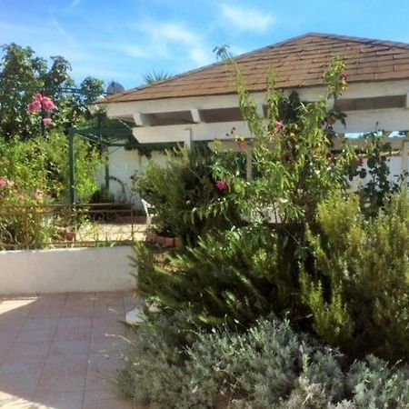 Appartement 3 Chambres Proche Mer Entre Palavas Les Flots Et Frontignan Plage Dans Maison Avec Jardin Villeneuve-lès-Maguelonne Exterior photo